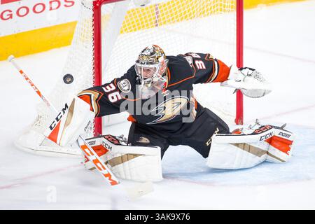 20. Oktober 2016: John Gibson (36) schlägt den Puck mit seinem Blocker während des NHL-Spiels zwischen den Anaheim Ducks und den Philadelphia Flyers im Well Fargo Center in Philadelphia, Pennsylvania. Die Anaheim Ducks gewannen mit 3:2. Christopher SzagolaCal Sport Media (Kreditbild: &Copy; Chris Szagola/CSM via ZUMA Wire) Stockfoto