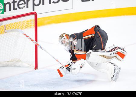 20. Oktober 2016: John Gibson (36), der Torwart der Anaheim Ducks, im NHL-Spiel zwischen den Anaheim Ducks und den Philadelphia Flyers im Well Fargo Center in Philadelphia, Pennsylvania. Die Anaheim Ducks gewannen mit 3:2. Christopher SzagolaCal Sport Media (Kreditbild: &Copy; Chris Szagola/CSM via ZUMA Wire) Stockfoto