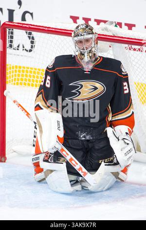 20. Oktober 2016: John Gibson (36), der Torwart der Anaheim Ducks, blickt während des NHL-Spiels zwischen den Anaheim Ducks und den Philadelphia Flyers im Well Fargo Center in Philadelphia, Pennsylvania. Die Anaheim Ducks gewannen mit 3:2. Christopher SzagolaCal Sport Media (Kreditbild: &Copy; Chris Szagola/CSM via ZUMA Wire) Stockfoto