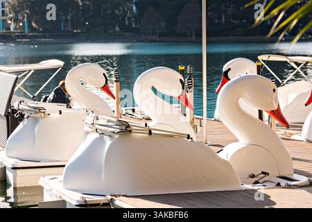 10. Januar 2015 - Orlando, FL, Vereinigte Staaten von Amerika - die berühmten Schwanenboote auf dem Lake Eola Park in Orlando, Florida. Lake Eola Park liegt im Herzen der Innenstadt von Orlando und Heimat des Walt Disney Amphitheaters. (Bild: © Richard Ellis Via ZUMA Wire) Stockfoto