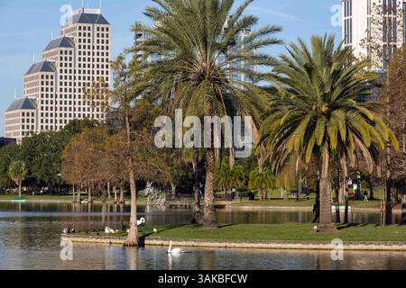 Januar 2015 - Orlando, FL, Vereinigte Staaten von Amerika - Blick auf die Skyline über den Lake Eola und Palmen in Orlando, Florida. Lake Eola Park liegt im Herzen der Innenstadt von Orlando und Heimat des Walt Disney Amphitheaters. (Bild: © Richard Ellis Via ZUMA Wire) Stockfoto