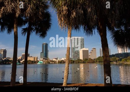 Januar 2015 - Orlando, FL, Vereinigte Staaten von Amerika - Blick auf die Skyline über den Lake Eola und Palmen in Orlando, Florida. Lake Eola Park liegt im Herzen der Innenstadt von Orlando und Heimat des Walt Disney Amphitheaters. (Bild: © Richard Ellis Via ZUMA Wire) Stockfoto