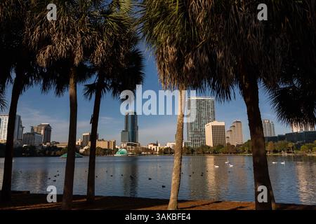 Januar 2015 - Orlando, FL, Vereinigte Staaten von Amerika - Blick auf die Skyline über den Lake Eola und Palmen in Orlando, Florida. Lake Eola Park liegt im Herzen der Innenstadt von Orlando und Heimat des Walt Disney Amphitheaters. (Bild: © Richard Ellis Via ZUMA Wire) Stockfoto