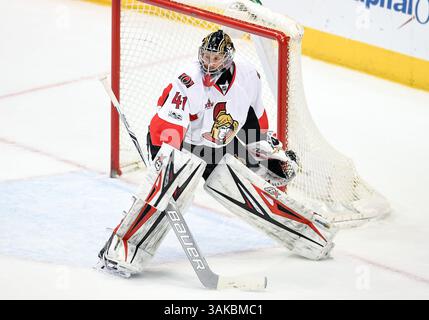 8. März 2017. Ottawa Senators Torwart Craig Anderson (41) in einem Spiel zwischen den Ottawa Senators und den Dallas Stars im American Airlines Center in Dallas, Texas. Manny Flores/Cal Sport Media Stockfoto