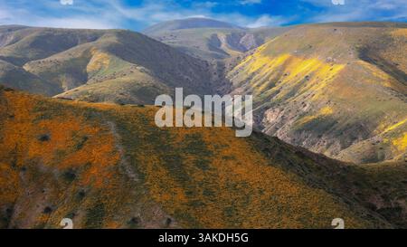 Malerische Landschaft des Carrizo Plains National Monument in Kalifornien mit farbenfrohen Wildblumen auf sanften Hügeln Stockfoto