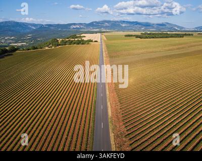 Aus der Vogelperspektive: Gerade Straße durch Lavendelfelder mit den Alpen im Hintergrund. Stockfoto