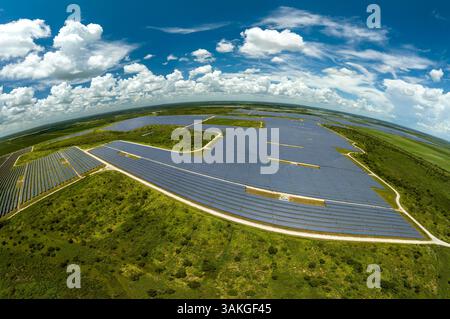 Luftaufnahme eines großen nachhaltigen Elektrokraftwerks mit vielen Reihen von Photovoltaik-Solarzellen zur Erzeugung sauberer elektrischer Energie. Erneuerbar Stockfoto
