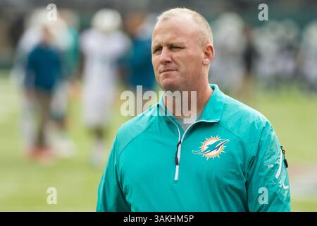 1. Dezember 2013: Jim Turner, Offensive Line Coach der Miami Dolphins, beobachtet während der Aufwärmphase vor dem NFL-Spiel zwischen den Miami Dolphins und den New York Jets im MetLife Stadium in East Rutherford, New Jersey. (Christopher Szagola/Cal Sport Media)(Bild: © Chris Szagola/Cal Sport Media/ZUMAPRESS.com) Stockfoto