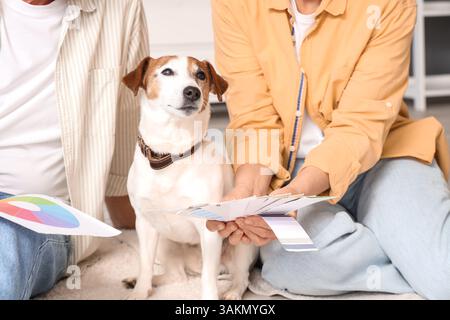 Reifes Paar mit Farbpaletten und Hund während der Reparatur in ihrem neuen Haus, Nahaufnahme Stockfoto