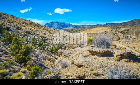 Die raue Wüstenlandschaft mit schneebedeckten Bergen aus der Vogelperspektive Stockfoto