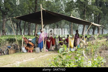 Kinder von Teeplantagen kümmern sich unter einem Zelt von Kindertagesbetreuern, während ihre Mütter am 2. April 2025 auf dem Tea Estate Teeblätter pflücken Stockfoto