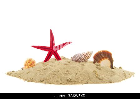 Strand mit Sand Seesterne und Muscheln, die isoliert auf weiß Stockfoto