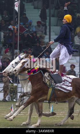 1. Februar 2014 - Kila Raipur, Punjab, Indien - die 78. Ausgabe der „olympischen spiele auf dem Land“ in Indien endete am Sonntag, 2. Februar 2014 in Kila Raipur, Punjab. Das dreitägige Festival zelebrierte den ländlichen Stolz in der Heimat der Sikhs und beinhaltete Karren-Rennen, Zelt-Pegging, Meisterleistungen auf dem Pferd und andere traditionelle Sportveranstaltungen neben kulturellen Veranstaltungen wie Bhangra und Gidda. (Bild: © Jiti Chadha/ZUMAPRESS.com) Stockfoto