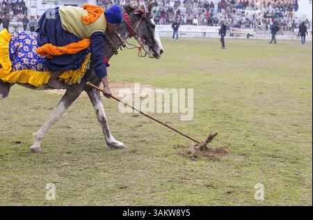 1. Februar 2014 - Kila Raipur, Punjab, Indien - die 78. Ausgabe der „olympischen spiele auf dem Land“ in Indien endete am Sonntag, 2. Februar 2014 in Kila Raipur, Punjab. Das dreitägige Festival zelebrierte den ländlichen Stolz in der Heimat der Sikhs und beinhaltete Karren-Rennen, Zelt-Pegging, Meisterleistungen auf dem Pferd und andere traditionelle Sportveranstaltungen neben kulturellen Veranstaltungen wie Bhangra und Gidda. (Bild: © Jiti Chadha/ZUMAPRESS.com) Stockfoto
