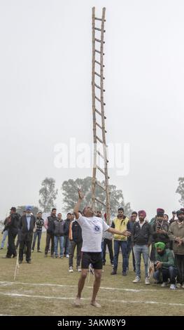 1. Februar 2014 - Kila Raipur, Punjab, Indien - die 78. Ausgabe der „olympischen spiele auf dem Land“ in Indien endete am Sonntag, 2. Februar 2014 in Kila Raipur, Punjab. Das dreitägige Festival zelebrierte den ländlichen Stolz in der Heimat der Sikhs und beinhaltete Karren-Rennen, Zelt-Pegging, Meisterleistungen auf dem Pferd und andere traditionelle Sportveranstaltungen neben kulturellen Veranstaltungen wie Bhangra und Gidda. (Bild: © Jiti Chadha/ZUMAPRESS.com) Stockfoto