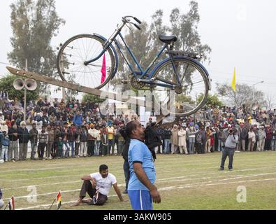 1. Februar 2014 - Kila Raipur, Punjab, Indien - die 78. Ausgabe der „olympischen spiele auf dem Land“ in Indien endete am Sonntag, 2. Februar 2014 in Kila Raipur, Punjab. Das dreitägige Festival zelebrierte den ländlichen Stolz in der Heimat der Sikhs und beinhaltete Karren-Rennen, Zelt-Pegging, Meisterleistungen auf dem Pferd und andere traditionelle Sportveranstaltungen neben kulturellen Veranstaltungen wie Bhangra und Gidda. (Bild: © Jiti Chadha/ZUMAPRESS.com) Stockfoto