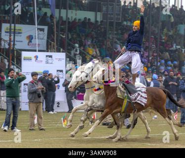1. Februar 2014 - Kila Raipur, Punjab, Indien - die 78. Ausgabe der „ländlichen olympischen spiele“ in Kila Raipur feierte den ländlichen Stolz in Indiens Speicher, dem Punjab. Das dreitägige Festival umfasst Bullock-Karren-Rennen, Zelt-Pegging, Reitsport und andere Veranstaltungen mit ländlichem Flair. (Bild: © Jiti Chadha/ZUMAPRESS.com) Stockfoto
