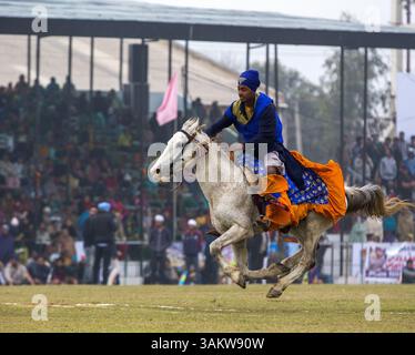 1. Februar 2014 - Kila Raipur, Punjab, Indien - die 78. Ausgabe der „olympischen spiele auf dem Land“ in Indien endete am Sonntag, 2. Februar 2014 in Kila Raipur, Punjab. Das dreitägige Festival zelebrierte den ländlichen Stolz in der Heimat der Sikhs und beinhaltete Karren-Rennen, Zelt-Pegging, Meisterleistungen auf dem Pferd und andere traditionelle Sportveranstaltungen neben kulturellen Veranstaltungen wie Bhangra und Gidda. (Bild: © Jiti Chadha/ZUMAPRESS.com) Stockfoto