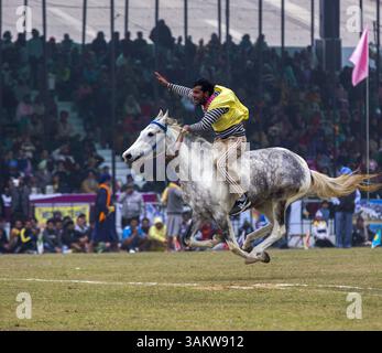 1. Februar 2014 - Kila Raipur, Punjab, Indien - die 78. Ausgabe der „olympischen spiele auf dem Land“ in Indien endete am Sonntag, 2. Februar 2014 in Kila Raipur, Punjab. Das dreitägige Festival zelebrierte den ländlichen Stolz in der Heimat der Sikhs und beinhaltete Karren-Rennen, Zelt-Pegging, Meisterleistungen auf dem Pferd und andere traditionelle Sportveranstaltungen neben kulturellen Veranstaltungen wie Bhangra und Gidda. (Bild: © Jiti Chadha/ZUMAPRESS.com) Stockfoto