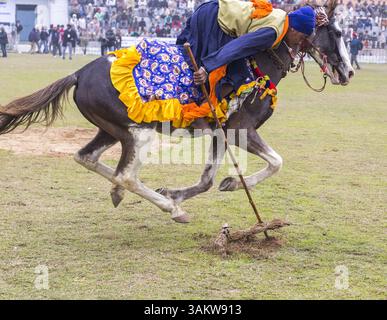 1. Februar 2014 - Kila Raipur, Punjab, Indien - die 78. Ausgabe der „olympischen spiele auf dem Land“ in Indien endete am Sonntag, 2. Februar 2014 in Kila Raipur, Punjab. Das dreitägige Festival zelebrierte den ländlichen Stolz in der Heimat der Sikhs und beinhaltete Karren-Rennen, Zelt-Pegging, Meisterleistungen auf dem Pferd und andere traditionelle Sportveranstaltungen neben kulturellen Veranstaltungen wie Bhangra und Gidda. (Bild: © Jiti Chadha/ZUMAPRESS.com) Stockfoto