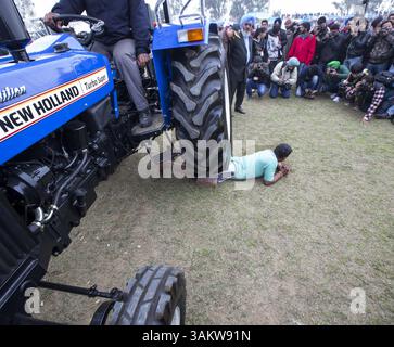 1. Februar 2014 - Kila Raipur, Punjab, Indien - die 78. Ausgabe der „olympischen spiele auf dem Land“ in Indien endete am Sonntag, 2. Februar 2014 in Kila Raipur, Punjab. Das dreitägige Festival zelebrierte den ländlichen Stolz in der Heimat der Sikhs und beinhaltete Karren-Rennen, Zelt-Pegging, Meisterleistungen auf dem Pferd und andere traditionelle Sportveranstaltungen neben kulturellen Veranstaltungen wie Bhangra und Gidda. (Bild: © Jiti Chadha/ZUMAPRESS.com) Stockfoto