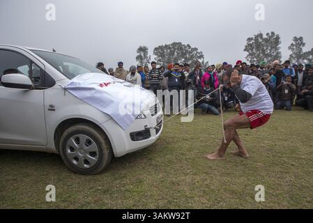 1. Februar 2014 - Kila Raipur, Punjab, Indien - die 78. Ausgabe der „olympischen spiele auf dem Land“ in Indien endete am Sonntag, 2. Februar 2014 in Kila Raipur, Punjab. Das dreitägige Festival zelebrierte den ländlichen Stolz in der Heimat der Sikhs und beinhaltete Karren-Rennen, Zelt-Pegging, Meisterleistungen auf dem Pferd und andere traditionelle Sportveranstaltungen neben kulturellen Veranstaltungen wie Bhangra und Gidda. (Bild: © Jiti Chadha/ZUMAPRESS.com) Stockfoto