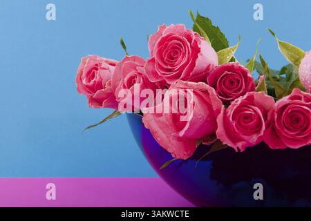 Rosen in Glasschale auf Rosa und blauen Hintergrund Stockfoto