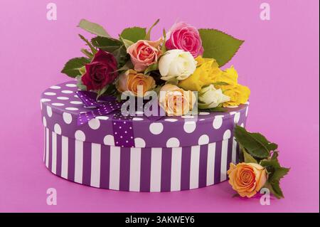 Blumenstrauß viele bunte Rosen und ein Geburtstagsgeschenk auf Rosa Stockfoto
