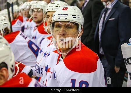 Dezember 2013 - Raleigh, North Carolina, USA S - Washington Capitals verließ Martin Erat (10) während des Spiels zwischen den Washington Capitals und den Carolina Hurricanes in der PNC Arena. Die Washington Capitals besiegten die Carolina Hurricanes mit 4:2. (Bild: © Andy Martin Jr./ZUMAPRESS.com) Stockfoto