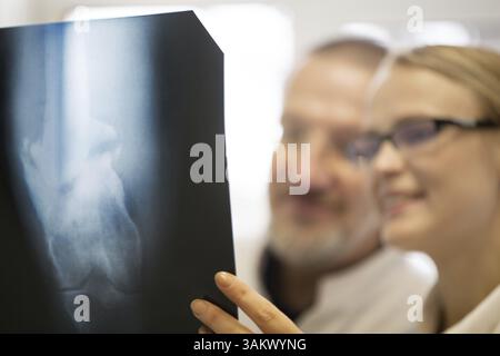 Nahaufnahme der männlichen und weiblichen Ärzte untersuchen und analysieren Knie x-ray. Konzentrieren Sie sich auf das Bild Stockfoto