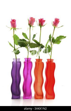 Zeile mit bunten Rosen und Glasvasen auf weißem Hintergrund Stockfoto
