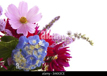 Garten Blume Bouquet mit Hydrangea Kosmos und andere Stockfoto