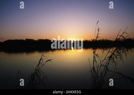 Sonnenuntergang über einem See mit Silhouettenpflanzen und ruhigem Wasser, Tweelbaeker See 27798 Hude, Deutschland, Europa Stockfoto
