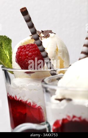 Himbeere Parfait mit frischen Früchten, einer Schicht Schlagsahne garniert mit einer Kugel cremige Vanilleeis garniert mit Minze und eine dekorative Bisc Stockfoto