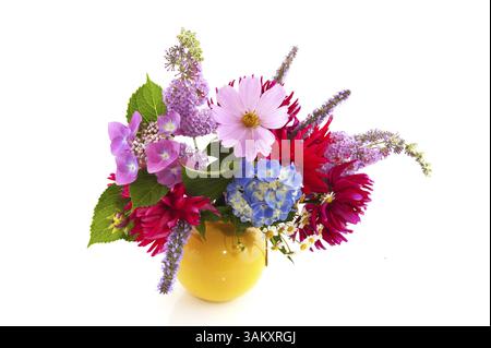 Garten Blume Bouquet mit Hydrangea Kosmos und andere Stockfoto