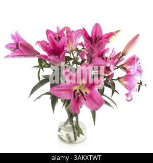 Strauß rosa Lilie Blumen in Glasvase Stockfoto