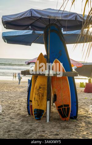Surfbretter unter Sonnenschirmen an einem Strand von Bali. Meereswellen und ferne Figuren runden die sonnige Szene ab. Stockfoto