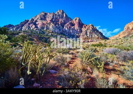 Red Rock Desert und Kakteen mit Blick auf die Bergkette Stockfoto