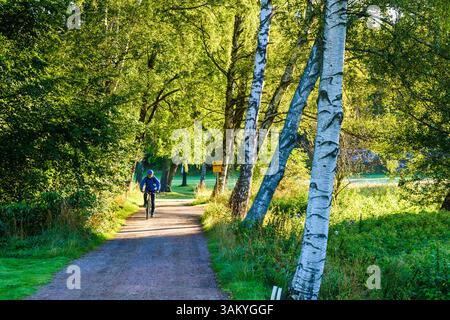 Ein Mann radelt entlang einer von Laubbäumen gesäumten Schotterstraße vor Göteborg und genießt die frische Luft und die friedliche Natur. Sonnenlicht filtert durch Stockfoto