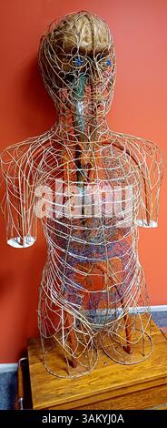 Anatomie-Vintage-menschliche Körper-Blutgefässnervs-Modell für Medizinstudenten Organsystem Stockfoto