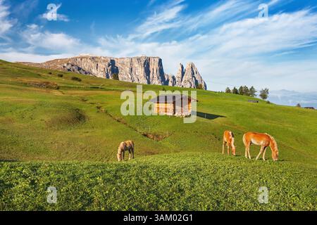 Herrlichem Panoramablick auf Passo Giau in Dolomiten Nationalpark, Italien Stockfoto