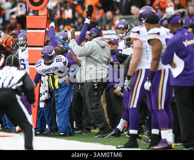 22. Dezember 2013 – Cincinnati, OH, USA – Minnesota Vikings Wide Receiver Jerome Simpson (81) stürzt im zweiten Quartal gegen die Cincinnati Bengals im Paul Brown Stadium in Cincinnati am Sonntag, 22. Dezember 2013 in die Vikings-Bank. Die Bengalen schlugen die Wikinger, 42-14. (Bild: © Elizabeth Flores/MCT/ZUMAPRESS.com) Stockfoto