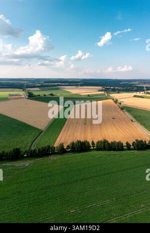 Vertikales Panoramabild mit landwirtschaftlichen Feldern und dem blauen bewölkten Himmel bei Sonnenuntergang Stockfoto