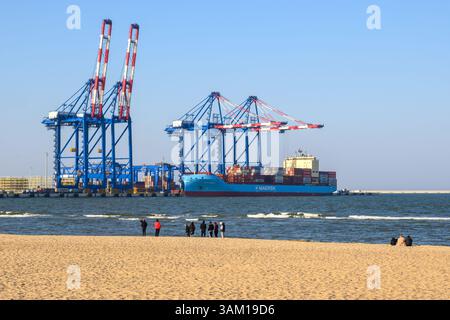 Danzig, Polen - 23. März 2025: Große Hafenkräne am Baltic Hub Container Terminal in Danzig Stockfoto