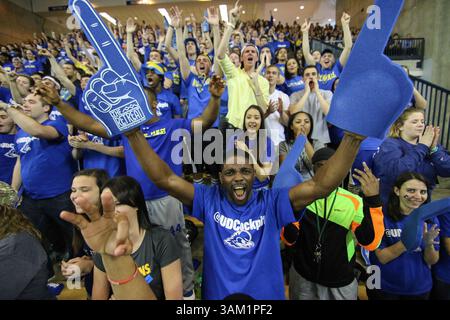 23. Februar 2014 - Newark, Delaware, USA - Delaware-Fan jubelte in der zweiten Hälfte eines NCAA-Konferenzspiels der Colonial Athletic Association zwischen Delaware und Drexel Sonntag, 23. Februar 2014 im Bob Carpenter Sports Convocation Center in Newark Delaware. (Bild: © Saquan Stimpson/ZUMA Wire/ZUMAPRESS.com) Stockfoto