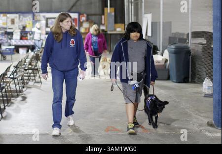 12. Februar 2014 – Gilroy, CA, USA – Mary Cortani, links, geht neben dem 11. Jährigen Aiden Tapiz, während er am 12. Februar 2014 in Gilroy, Kalifornien, seinen Diensthund Lego, einen 2-jährigen Collie-Mix, trainiert. (Kreditbild: © Josie Lepe/MCT/ZUMAPRESS.com) Stockfoto