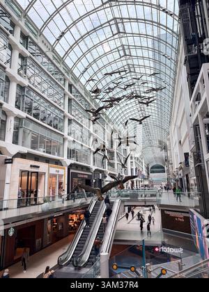 Eaton Center Flight Stop, ein ortsspezifisches Kunstwerk von Michael Snow, zeigt Kanadiengänse im Flug, die von der Decke in der Innenstadt von Toronto hängen. Stockfoto
