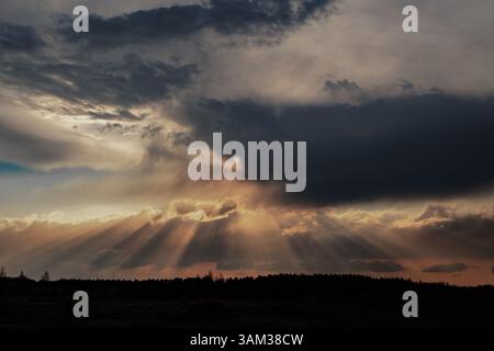 Eine atemberaubende Landschaft mit dramatischen krepuskulären Strahlen, während die Sonne durch dicke, stimmungsvolle Wolken über einem bewaldeten Horizont dringt. Stockfoto