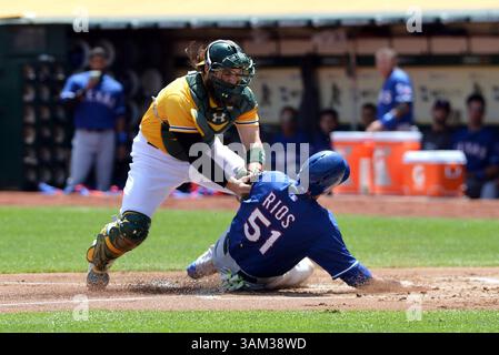 23. April 2014 - Oakland, KALIFORNIEN, USA - der Oakland Athletics-Catcher Derek Norris bringt das Etikett am Mittwoch, den 23. April 2014, auf Alex Rios der Texas Rangers (51) im O.Co Coliseum in Oakland, Kalifornien, an. Die Rangers haben mit 3:0 gewonnen. (Bild: © Kristopher Skinner/MCT/ZUMAPRESS.com) Stockfoto