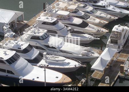 11. Februar 2004 - USA - KRT US NEWS STORY SLUGGED: LUXUS-KRT-FOTO VON RONNA GRADUS/MIAMI HERALD (FORT LAUDERDALE OUT) (25. März) landesweit stiegen die Neubootverkäufe 2003 um 9,5 Prozent, die erste Steigerung seit zwei Jahren. Kaufen Sie eine Millionen-Dollar-Yacht mit einem Bankkredit und Sie können die Zinsen abziehen, die Sie auf die Hypothek zahlen, genau wie Sie es auf Ihrem Haus können. Tatsächlich kann jedes Boot, das einen Kopf, einen Liegeplatz und eine Kombüse hat (nautische Sprache für Bad, Bett und Küche), Ihnen diesen Steuervorteil verschaffen. (lde) 2004 (Bild: © Ronna Gradus/mct/ZUMAPRESS.com) Stockfoto